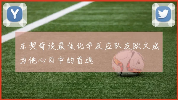 东契奇谈最佳化学反应队友欧文成为他心目中的首选